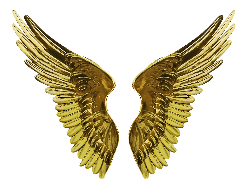 Angel Gold Wings PNG Cutout Image (Isolated-Objects)