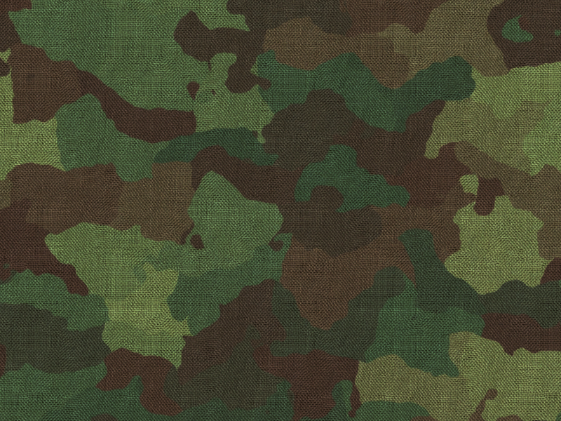 Army Camouflage Pattern Texture Freebie (Fabric)