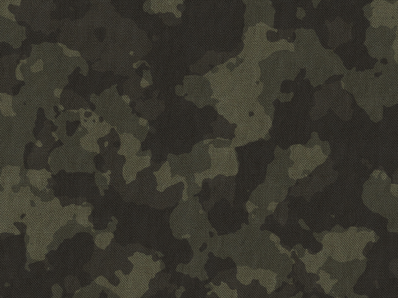 Army Military Texture With Camouflage Pattern Free (Fabric