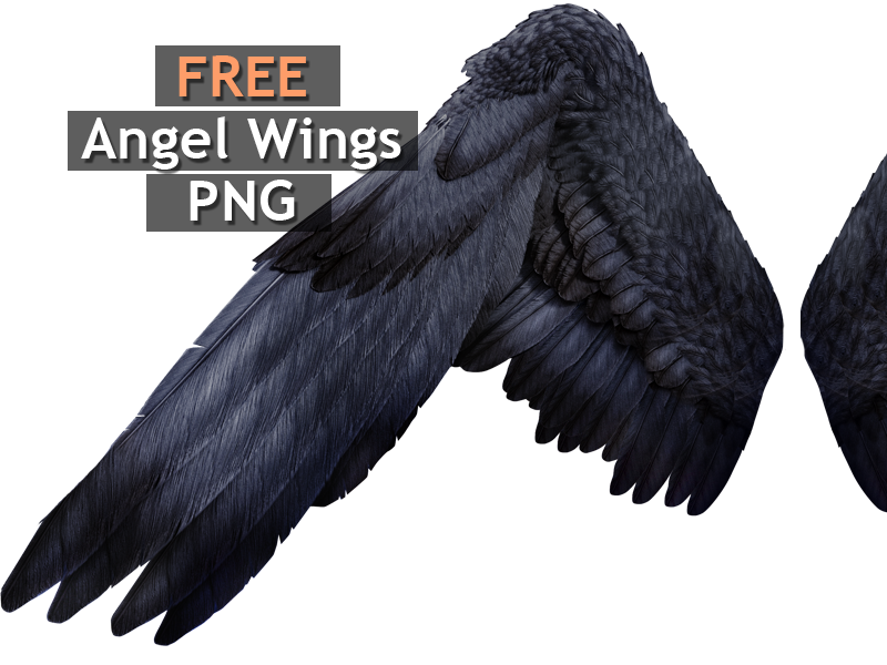 realistic angel wings side view