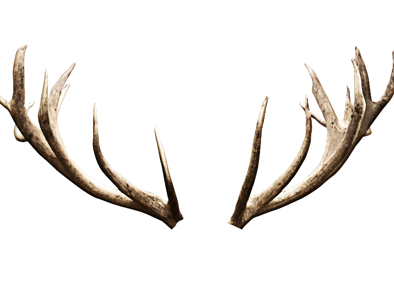Deer Antlers Horns Png Image Isolated Objects Textures For Photoshop