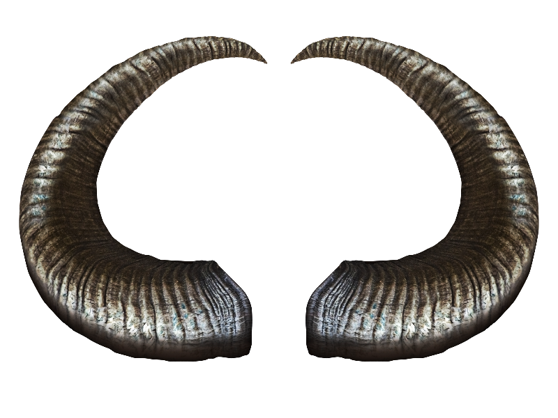 realistic horns