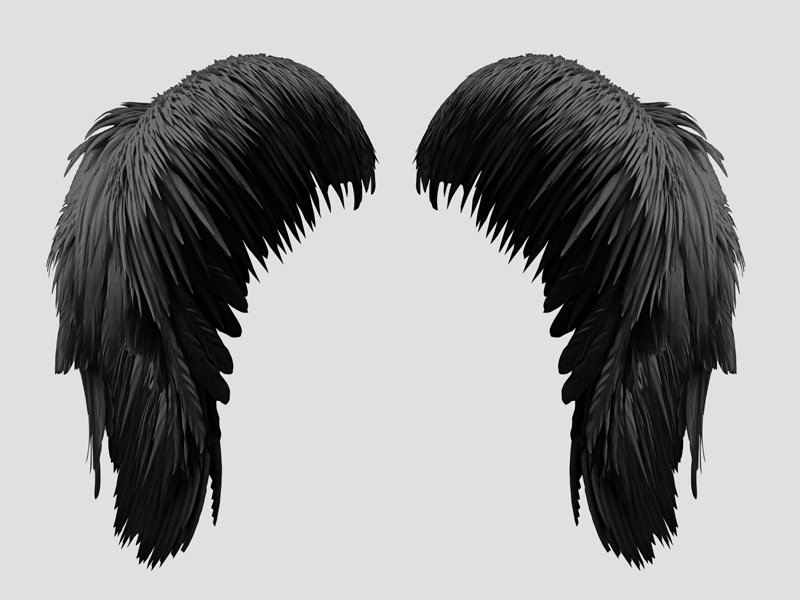 Free Black Wings PNG (Isolated-Objects)