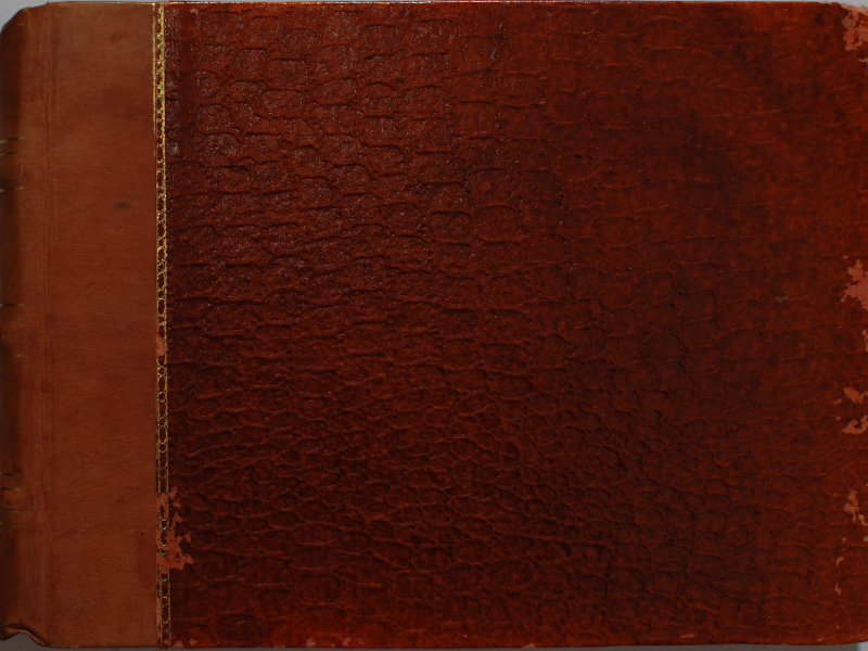 Old Snake Skin Book Cover Texture (Decor-And-Ornaments)