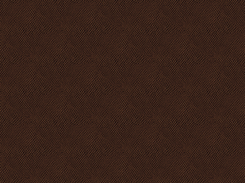 Seamless Brown Leather Texture Free (Fabric)