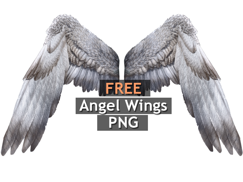 White Angel Wings PNG Free