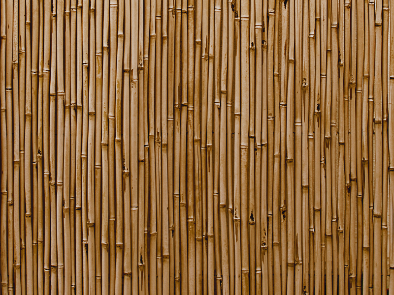 https://www.textures4photoshop.com/tex/thumbs/bamboo-wall-texture-high-res-thumb28.jpg