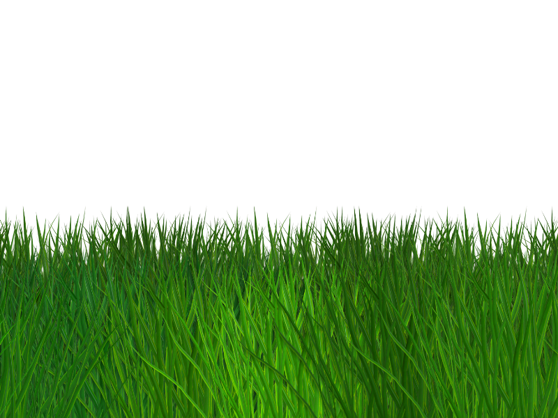 Border Grass Seamless Transparent Background Free text effect