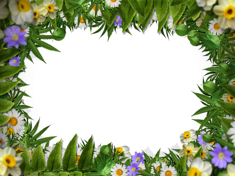Flower Frame Border PNG With Green Leaves Background  (Nature-Grass-And-Foliage) | Textures for Photoshop