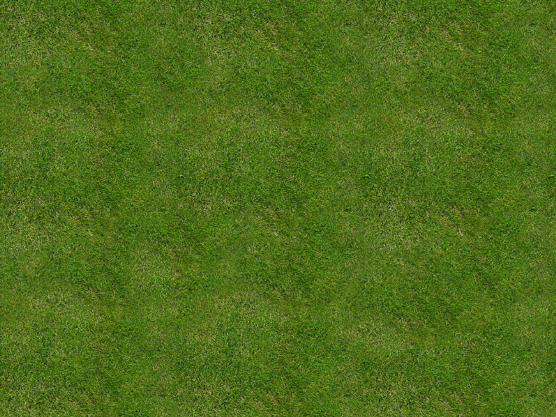 Grass Texture Png