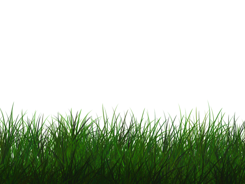 Free Transparent Grass Texture Seamless PNG (Nature-Grass-And-Foliage) |  Textures for Photoshop
