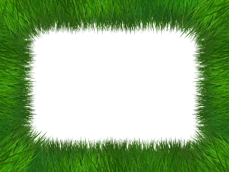Grass Frame Isolated With Transparent Background Free  (Nature-Grass-And-Foliage) | Textures for Photoshop