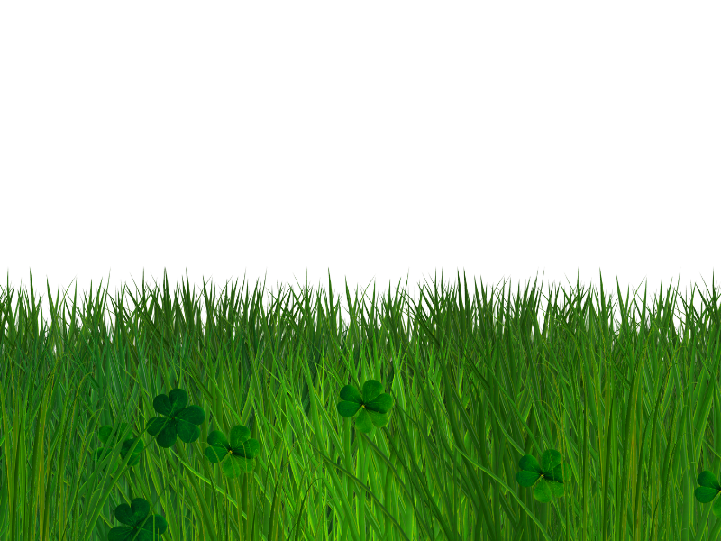 grass border png