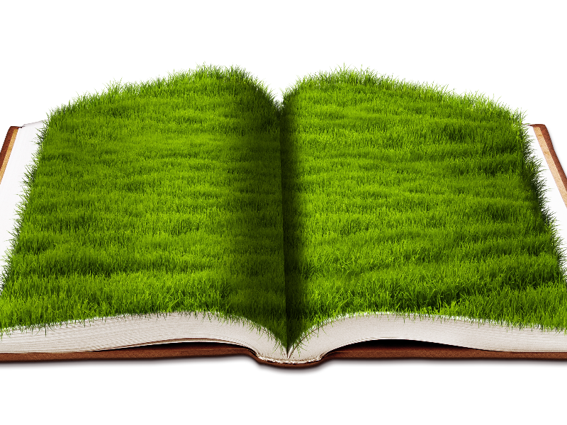 Open Book With Green Grass Png Background Image Free (Nature-Grass-And-Foliage)  | Textures for Photoshop
