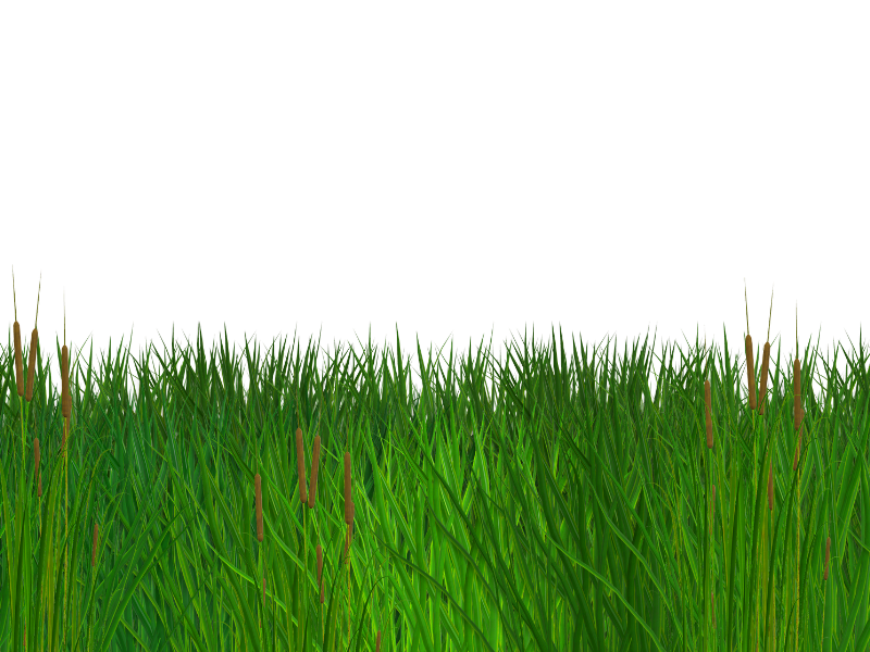 Seamless Grass Border Free PNG Clipart (Nature-Grass-And-Foliage) |  Textures for Photoshop