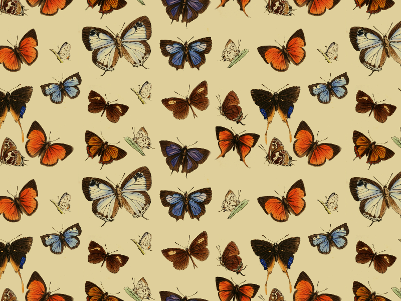 Seamless Vintage Butterfly Pattern